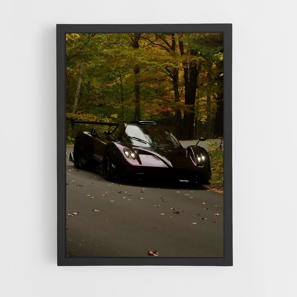 Poster Zonda magnifique r – affiche Pagani (vue 2)